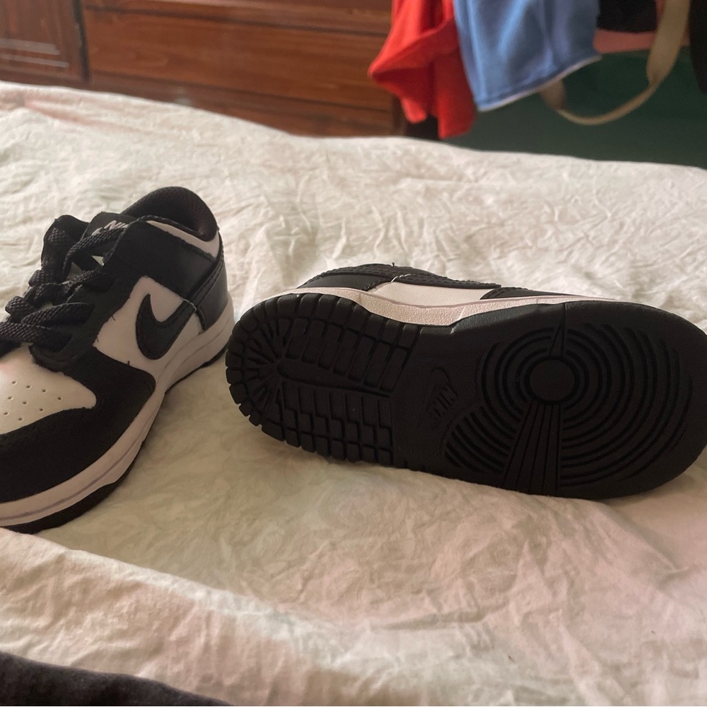 Nike Dunks BRAND NEW
